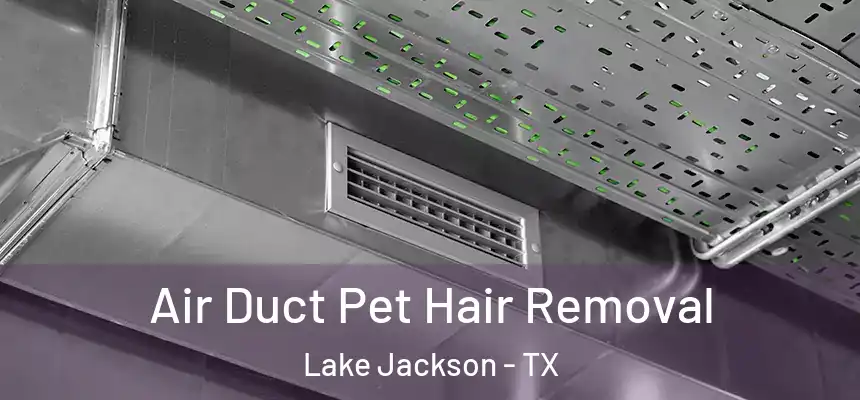 Air Duct Pet Hair Removal Lake Jackson - TX