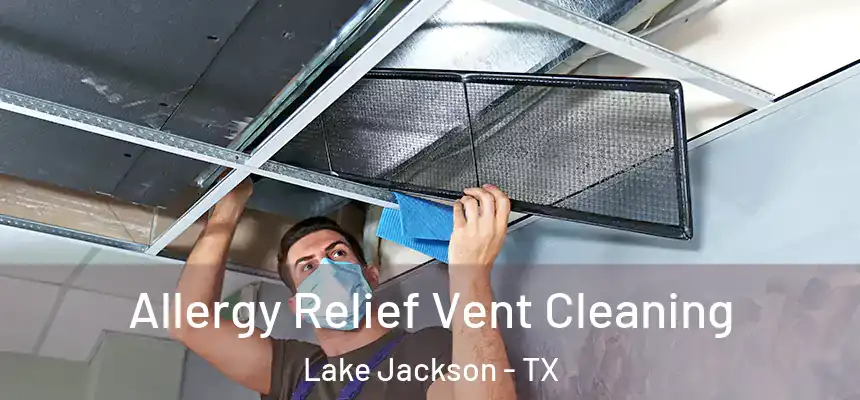  Allergy Relief Vent Cleaning Lake Jackson - TX