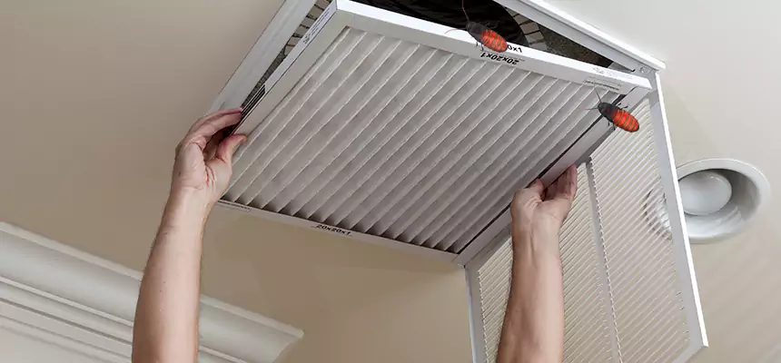 Our Insect Removal from Air Ducts Services in Lake Jackson, TX