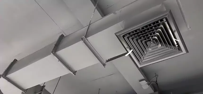 Our Pest Removal From Ducts Services in Lake Jackson, TX