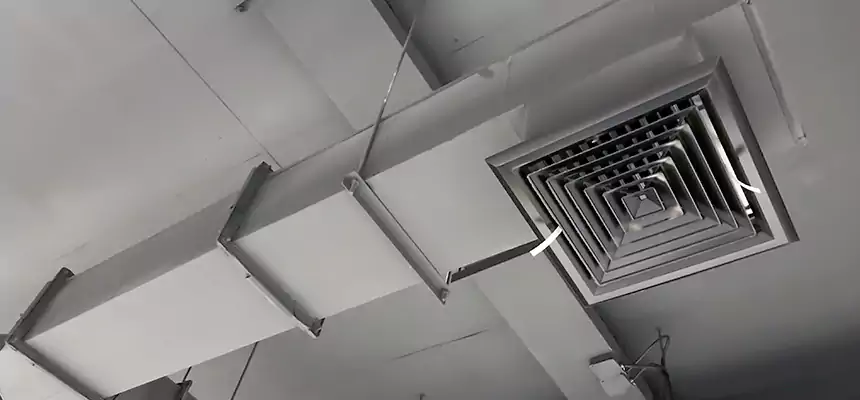 Our Rodent Droppings In Vents Services in Lake Jackson, TX