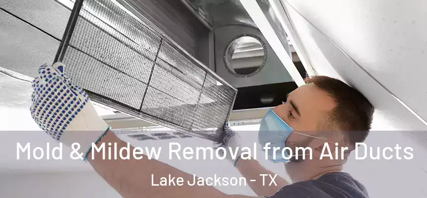  Mold & Mildew Removal from Air Ducts Lake Jackson - TX