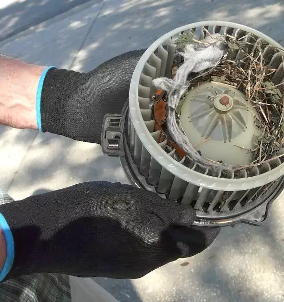 About Air Duct Rat Removal in Lake Jackson, TX