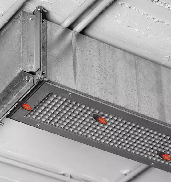 Affordable Insect Removal from Air Ducts in Lake Jackson, TX
