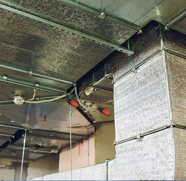 Why Homeowners & Businesses Trust Us Lake Jackson, TX?